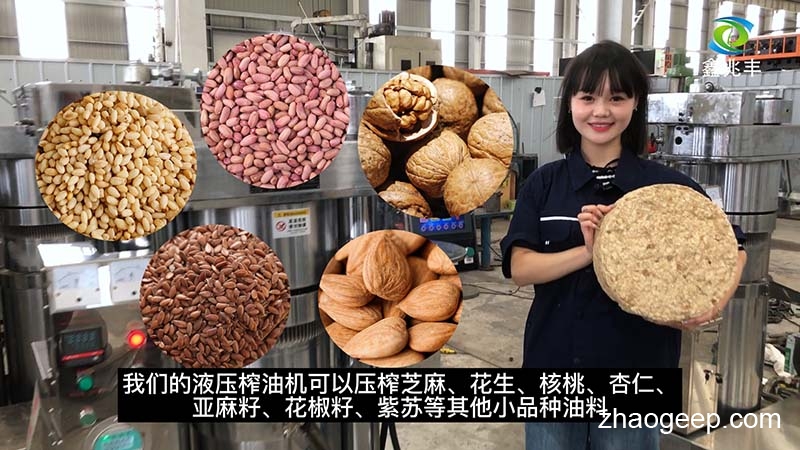 鑫兆豐全自動液壓榨油機(jī)有什么特點(diǎn)優(yōu)勢