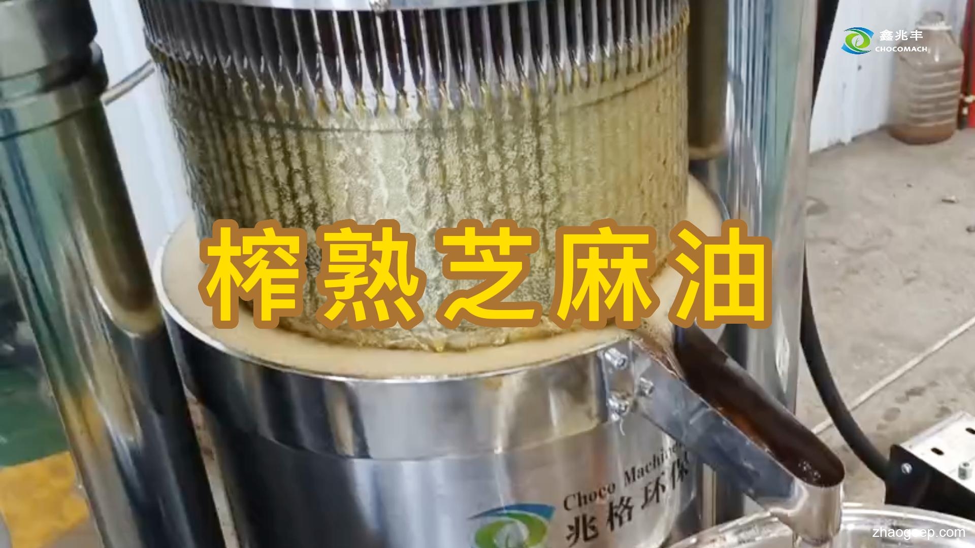 鑫兆豐全自動液壓榨油機(jī)怎么提升芝麻油的出油率