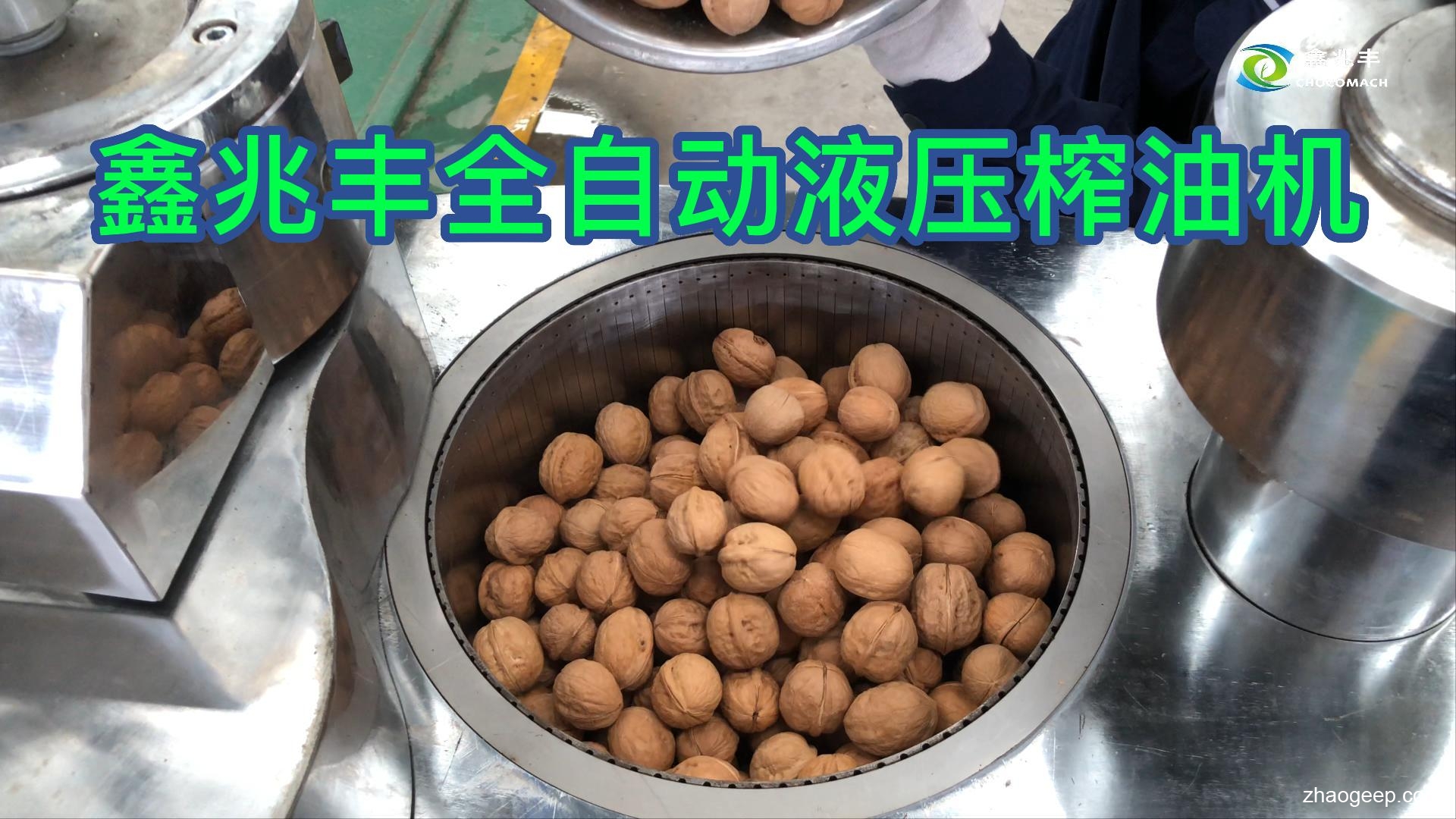鑫兆豐全自動液壓榨油機(jī)壓榨帶皮核桃鐵核桃